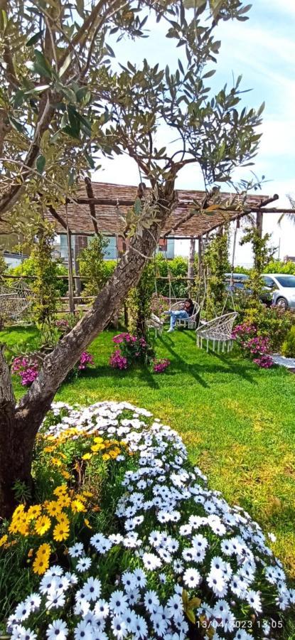 La Villa Degli Dei - Guest House กาสเตลลัมมาเร ดิ สตาเบีย ภายนอก รูปภาพ