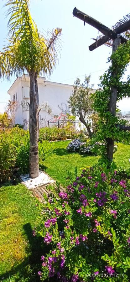 La Villa Degli Dei - Guest House กาสเตลลัมมาเร ดิ สตาเบีย ภายนอก รูปภาพ