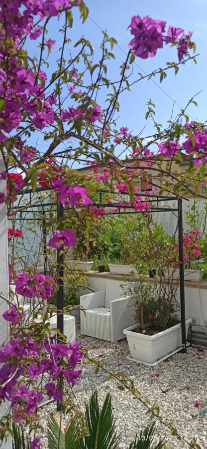 La Villa Degli Dei - Guest House กาสเตลลัมมาเร ดิ สตาเบีย ภายนอก รูปภาพ
