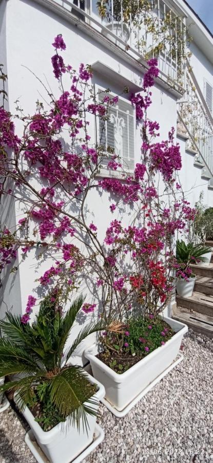 La Villa Degli Dei - Guest House กาสเตลลัมมาเร ดิ สตาเบีย ภายนอก รูปภาพ